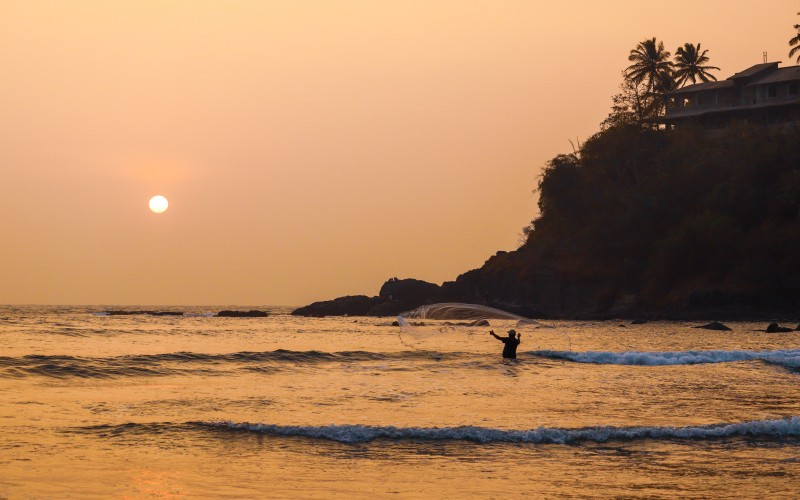 pexels prajwalsuresh 15649570 (1)
