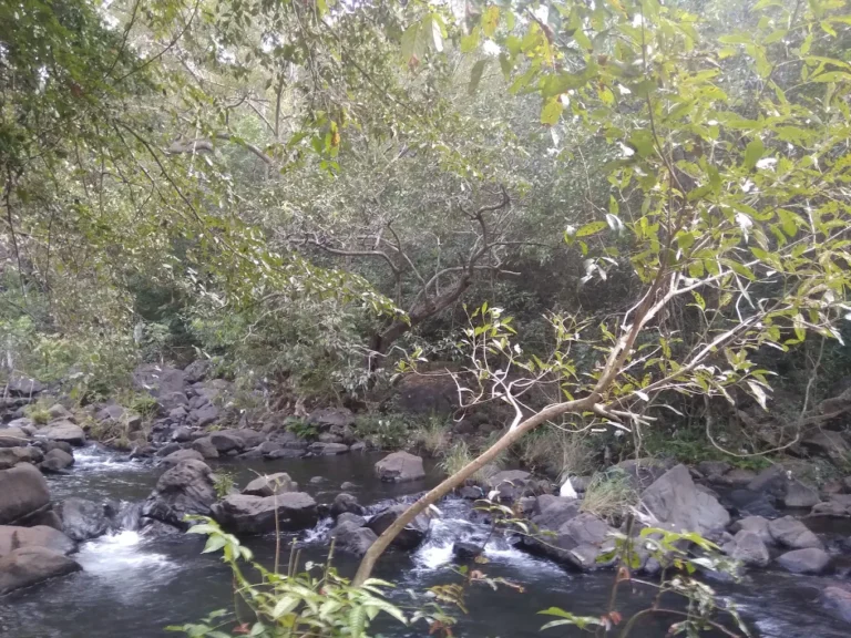 tilari waterfallss