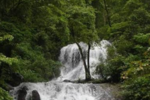 Discover Goa’s Hidden Waterfall Trek